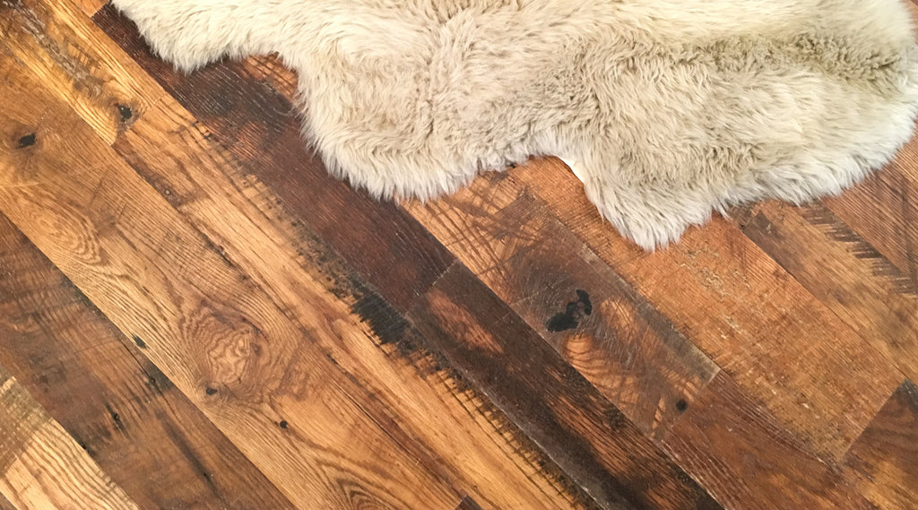 Can Fleas Live On Hardwood Floors? Everything You Need to Know About Keeping Your Hardwood Flooring Pest-Free This Summer