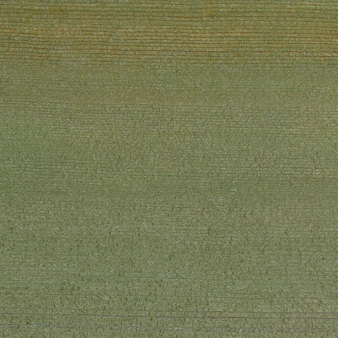 Color swatch of Rubio Monocoat Hybrid Wood Protector - Autoclave Green